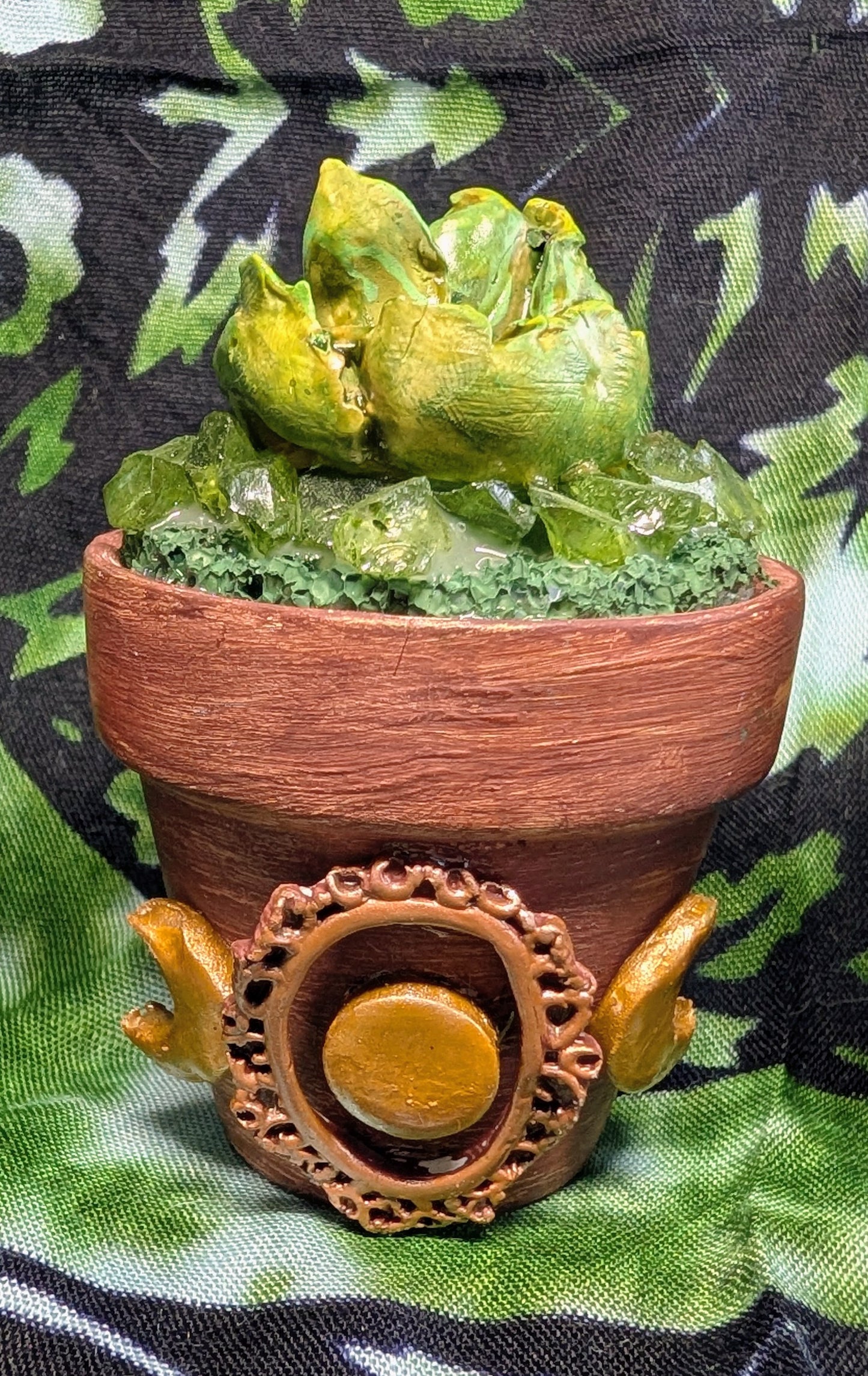 Forever Plants