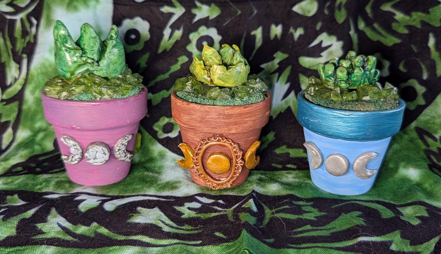 Forever Plants