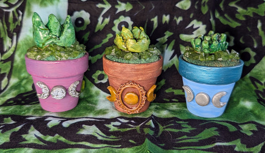Forever Plants